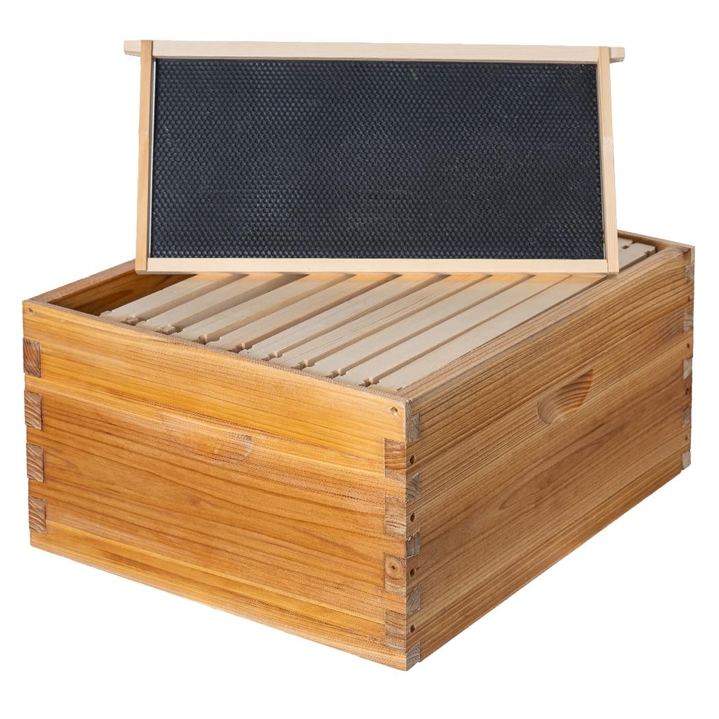 Honey Lake 10 Frame Bee Hive Box, Langstoth Deep Brood Bee Box Dipped in 100% Beeswax Includes Beehive Frames and Waxed Foundations, Beehive Box for Beginner Beekeeper (Unassembled) Honey Lake