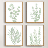 Drsoum Framed Botanical Plant Canvas Wood Wall Art Light Green Sage Wall Decor Eucalyptus Leaf Picture for Bedroom Living Room Bathroom Office 8”x 10” x 4pcs Drsoum