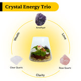 DIY Crystal Terrarium Kit– All-in-One Starter Kit with Moss, Pumice, Crystals, Coconut Coir, Gardening Tools & Decor | Healing Gift for Stress Relief | Plants & Crystal Lovers | Desk & Office Decor Terra Tales