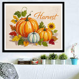 ACANDYL Halloween DIY Paint by Numbers Kit for Adults Beginner Paint by Number for Adults Fall Pumpkin Canvas Painting by Number DIY Acrylic Oil Painting on Canvas Arts Craft Decoration 16x20 inch ACANDYL