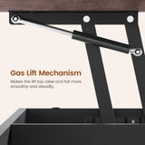 Itaar Lift Top Coffee Table, 4 in 1 Coffee Tables with Storage and Hidden Compartment, Farmhouse Coffee Table with 2 Fabric Drawers & LED Light for Living Room, Black Itaar