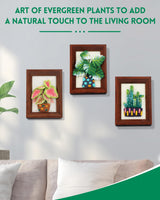 OEHPICC Needle Felting Kits for Beginners Adult, Wool Felting Kit with Frame & Tools, Needle Felt Painting Kit Includes Felting Needles, Fabric Sheet, Instructions (3 Potted Plants) OEHPICC