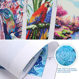 Diamond Art Kits for Adults Angels Military Aircraft Jet Aviation Airplane 5D DIY Round Rhinestone Gem Art Crafts Paintings for Home Wall Decor 11.7x15.8inches/30x40cm WoodArtSupply