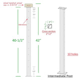 Deck Man 2Pack Deck Railing Posts Stainless Steel Cable Railing Post(2"×2") with 1/8 Cable Railing Kit, Level drilled (2, Black, 40.5 inch) Deck Man