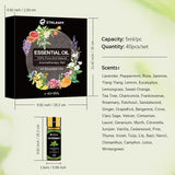 Essential Oils Set 40 Pcs, Essential Oils Perfect for Diffuser, Fragrance Oil Set for Massage, Soap, Candle Bath Bombs Making (5ml) Ethlauff