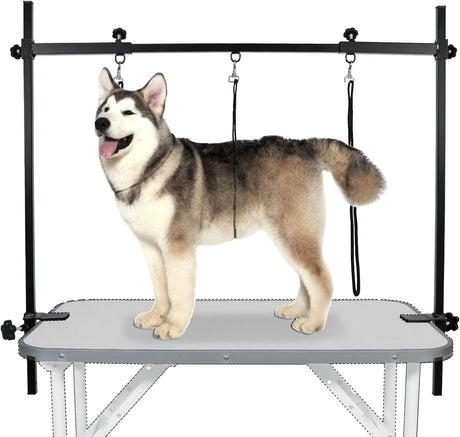LEIBOU H-Shape Dog Grooming Arm Pet Supplies Grooming Table Arm with 3 Noose and Clamp Heavy Duty Aluminum Alloy Frame with 35.4” Adjustable Height and 36.2” ~ 50” Adjustable Width Dog Grooming Kit LEIBOU