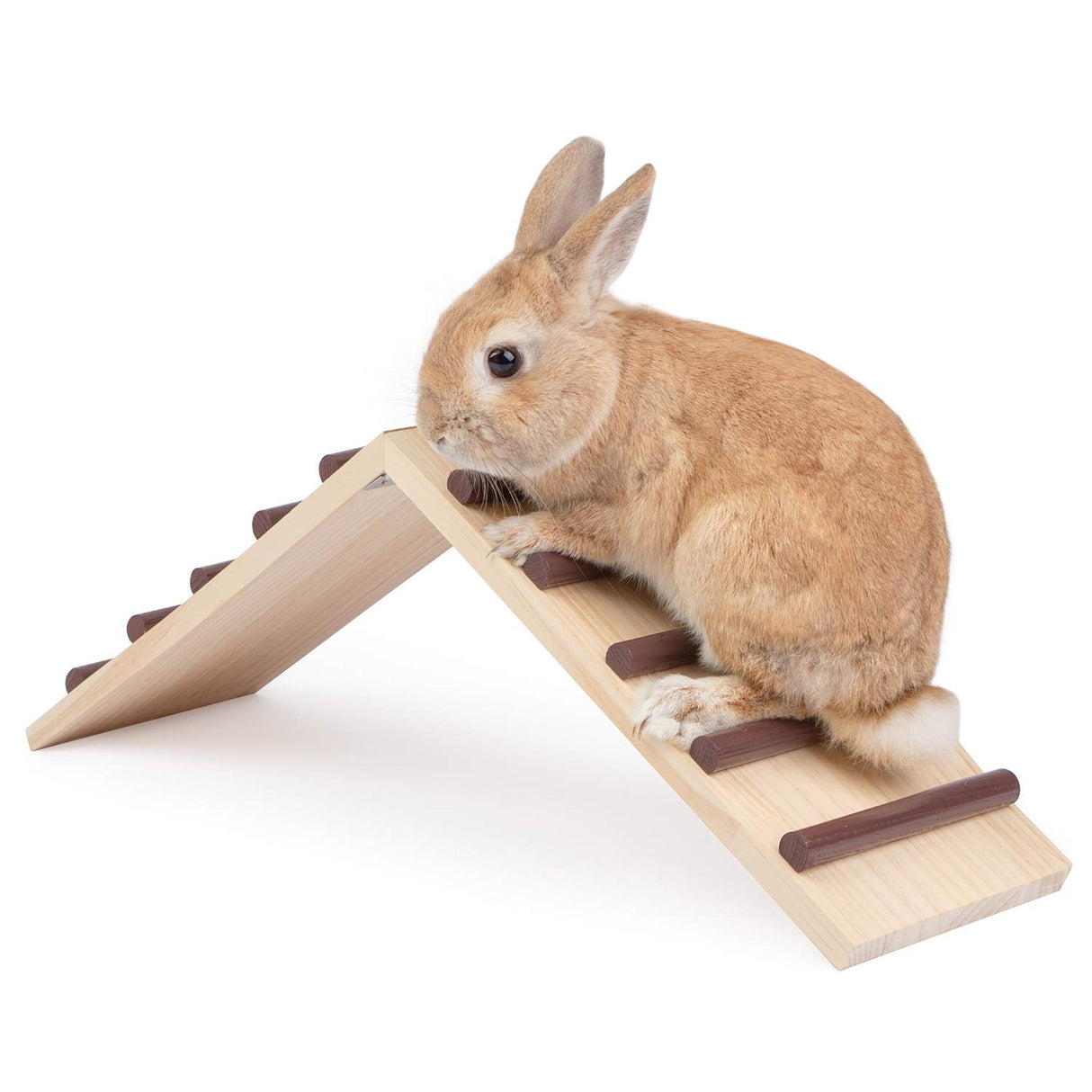 Niteangel Wooden Cage Bridge for Rabbits, Guinea Pigs and Chinchilla, Large Size Niteangel