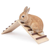 Niteangel Wooden Cage Bridge for Rabbits, Guinea Pigs and Chinchilla, Large Size Niteangel