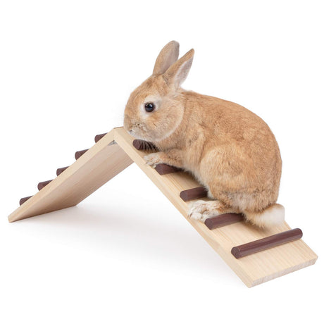 Niteangel Wooden Cage Bridge for Rabbits, Guinea Pigs and Chinchilla, Large Size Niteangel