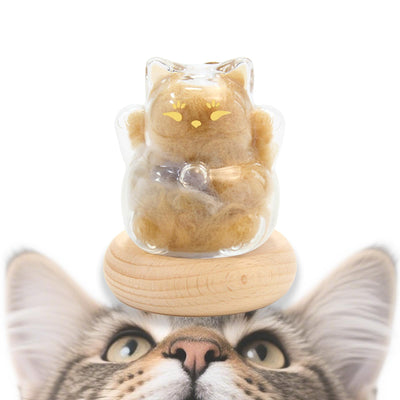【NEW】Memorial Bottle for Pet Hair with Base, Cat Pet Fur Keepsake, Pet Hair Memorial Keepsake, Pet Memorial Gifts for Cats, Cat Keepsake Fur Holder Cat Whisker Jar Memory Sympathy Gift Vials for Cat