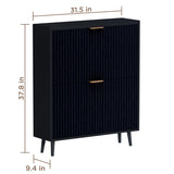 QIVOMIX Shoe Cabinet Storage,Modern Freestanding Organizer with 2 Flip Drawers,Narrow Shoe Rack Cabinet for Entryway,Black QIVOMIX