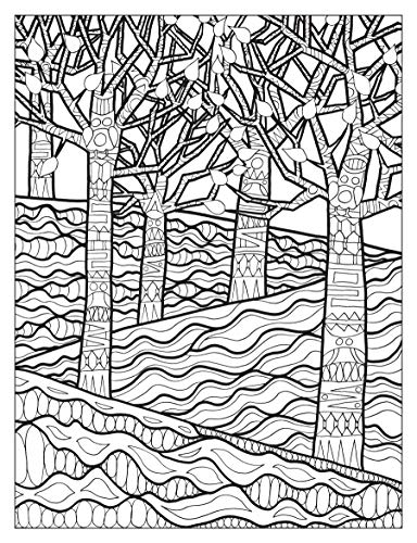 Creative Haven Into the Woods: A Coloring Book with a Hidden Picture Twist (Adult Coloring Books: Nature) Dover Publications