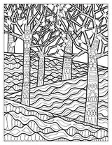 Creative Haven Into the Woods: A Coloring Book with a Hidden Picture Twist (Adult Coloring Books: Nature) Dover Publications