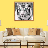 Bimkole 5D Diamond Painting Kits Blue-Eyed White Tiger, Full Drill Animals DIY Rhinestone Embroidery Set Paint with Diamonds Art by Number Kits Cross Stitch Home Wall Craft Decoration 12X12 inch Bimkole