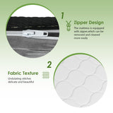 PayLessHere 8 Inch Mattress Medium Firm Spring Mattress Cool Sleep Pressure Relief Queen Size Mattress in a Box Fiberglass Free CertiPUR-US Certified Breathable Foams Mattress PayLessHere