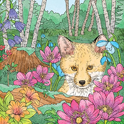 Symphony of Cute Animals: A Curious Coloring Book Adventure (Design Originals) Adult Coloring Book - 72 Fantasy Designs in a Magical Fairy-Tale-Inspired Setting [English Version of the Japanese Book] Design Originals