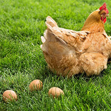 6 PCS Fake Eggs Easter Eggs for Craft Nest Eggs Brown Wooden Eggs for Laying Chickens YunKo