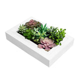 Nattol 3D Artificial Succulent Wall Art, Wood Frame with Realistic Faux Plant, Wall Hanging Botanical Decoration, Home Decor Idea for Vertical Garden and Fake Plants, White Nattol