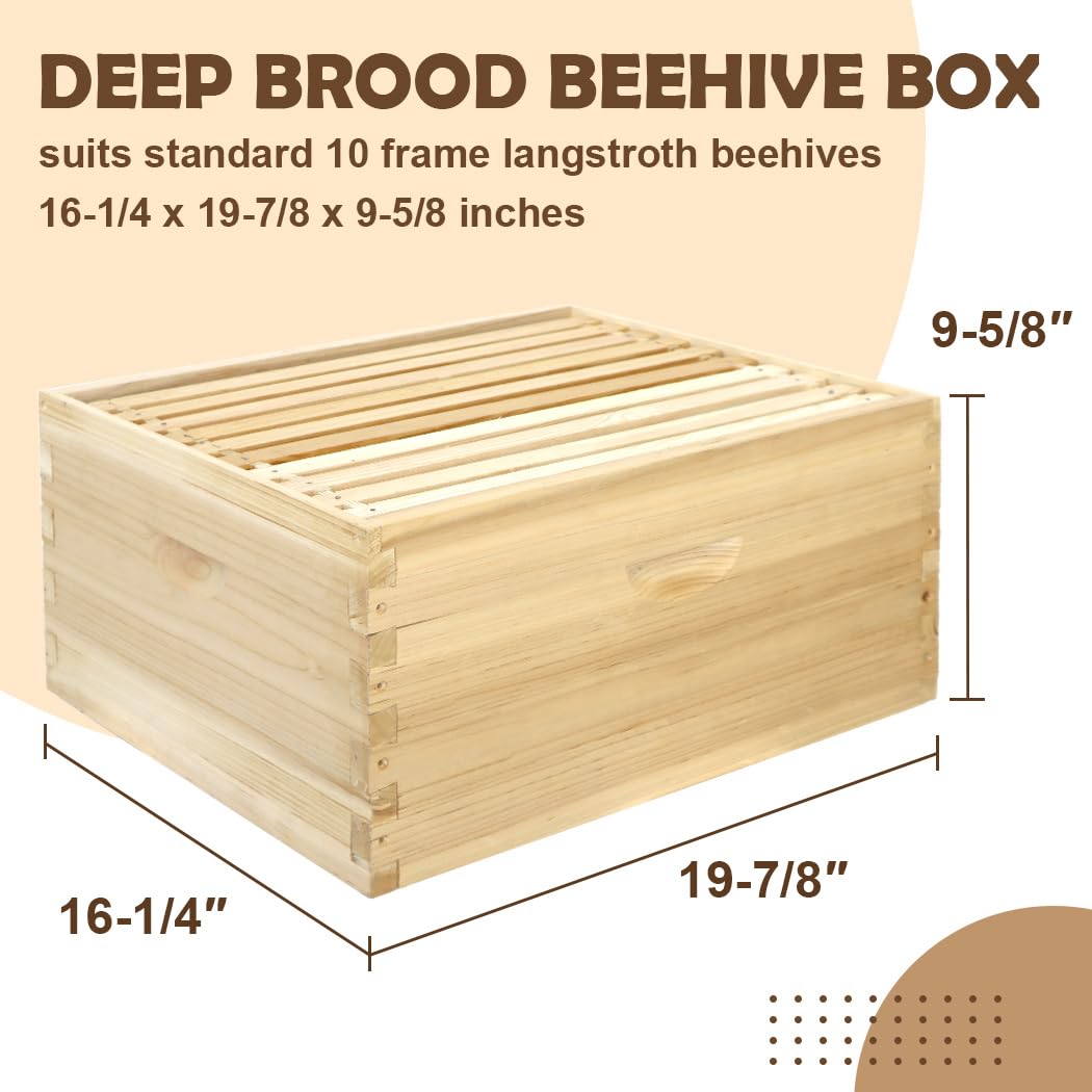 BEEINN 10 Frame Bee Hive, Compelte Bee Hive Starter Kit Includes 1 Deep Brood Honey Bee Hives Box, 1 Medium Super Bee Box with Beehive Frames and Foundation Sheets BEEINN