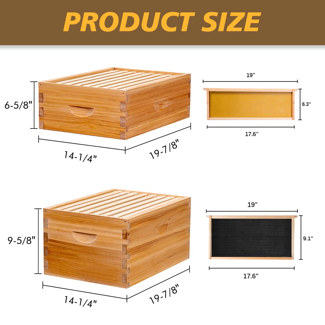 Beehive 8 Frame Bee Hives and Supplies Starter Kit, Bee Hive for Beginner, Honey Bee Hives Includes 1 Deep Bee Boxes, 1 Bee Hive Super with Beehive Frames and Foundation
