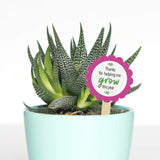 Printworks White Cardstock, Standard, 67 lb. Vellum, 92 Bright, 250 sheets, 8.5 x 11, For Office, Home & School Printing, Craft Projects (00564) PrintWorks