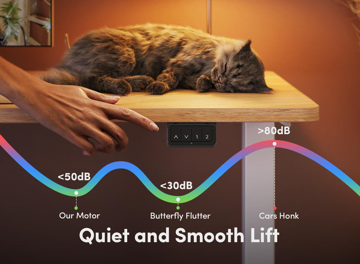 FEZIBO Electric Standing Desk, 55 x 24 Inches Height Adjustable Stand up Desk, Sit Stand Home Office Desk, Computer Desk, Maple FEZIBO