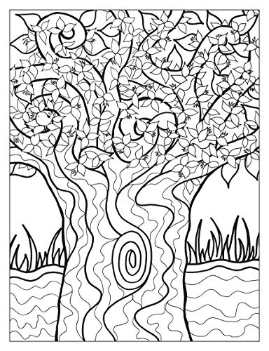 Creative Haven Into the Woods: A Coloring Book with a Hidden Picture Twist (Adult Coloring Books: Nature) Dover Publications