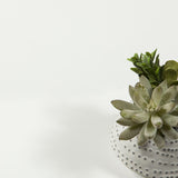 Tvilum Element 5 Shelf Narrow Bookcase, White Tvilum