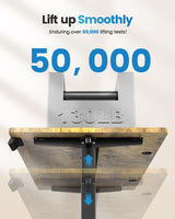 Zelimon Sit Stand Desk Adjustable Height 48"× 24" Memory Computer Stand Up Desk for Home Office Study Table with Hook, Rustic Brown Zelimon