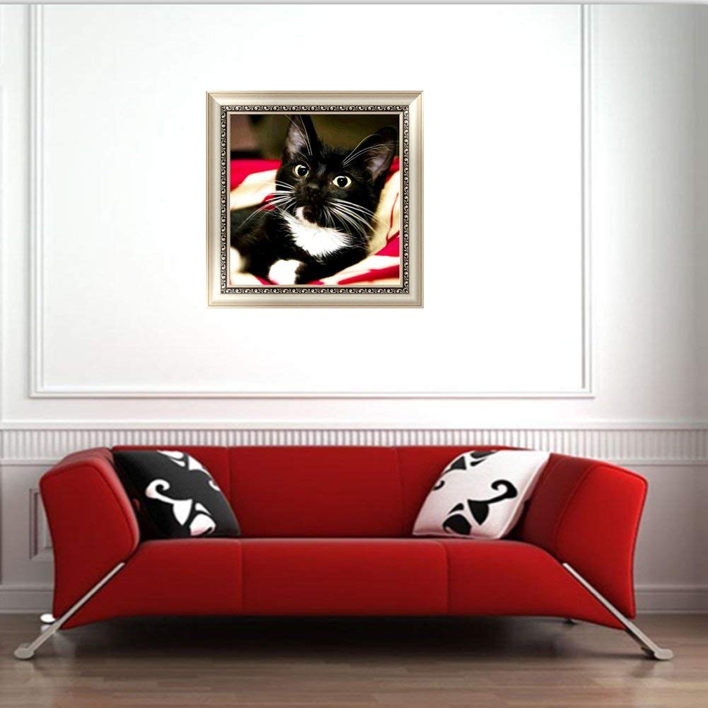 RICUVED DIY 5D Diamond Art Kits, Black Cat Diamond Art Full Diamond Art Kits for Adults Cat Crystal Rhinestone Embroidery Cross Stitch Arts Craft Supply Canvas Wall Decor 12x12 inches RICUVED
