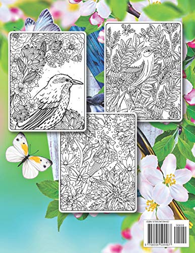 Songbirds Coloring Book: 50 Beautiful Birds Coloring Book Featuring Cute Songbirds, Beautiful Flowers and Relaxing Wildlife Scenes | An Adult Coloring Book to Relax and Enjoy! Majosta