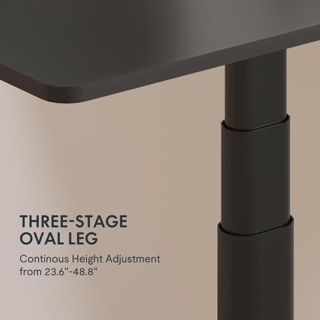 FLEXISPOT E8 Dual Motor 3 Stages Standing Desk 60x24 Inch Oval Leg Whole-Piece Board Electric Height Adjustable Desk Electric Stand Up Desk Sit Stand FLEXISPOT
