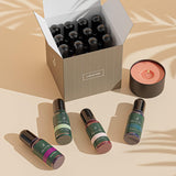 Hearth & Harbor Liquid Candle Dye for Soy Candle Making, 16 Vibrant Colors, Safe and Natural Candle Wax Dye Hearth & Harbor