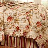 Waverly Charleston Chirp 3 Piece Quilt Set - 100% Cotton Light Weight Bedding with Bed Skirt & Pillow Shams - Twin Papaya Waverly