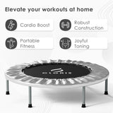 CLORIS 36'' Foldable Fitness Trampoline - Max Load 170lbs, Rebounder Indoor/Outdoor Fitness Body Exercise (Silvery) CLORIS