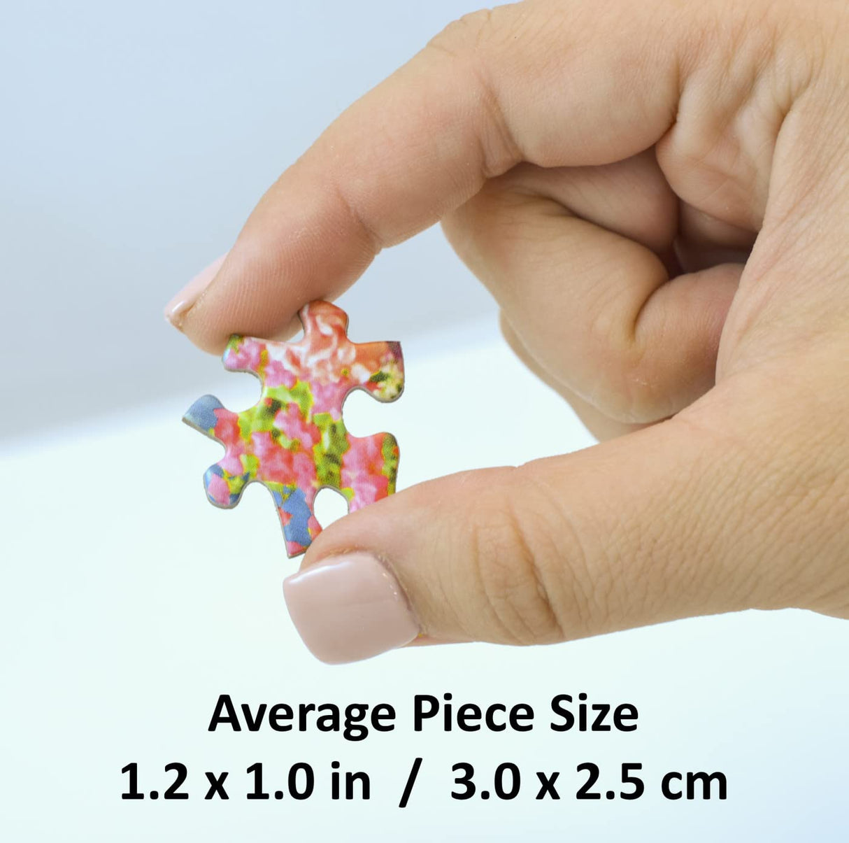 MasterPieces 750 Piece Jigsaw Puzzle for Adults and Family - Jewel of the Garage - 18"x24" Masterpieces