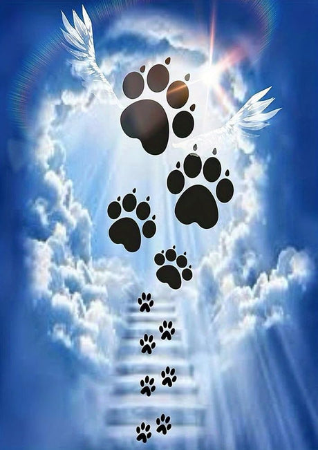 GXGLLPZBY 5D Diamond Painting Kits for Beginners, DIY Sky Sunshine Pet Dog Paws Diamond Art Kits for Adult, Full Round Diamond Dot Gem Art Kits,Home Wall Decoration 11.8x15.8 Inches GXGLLPZBY