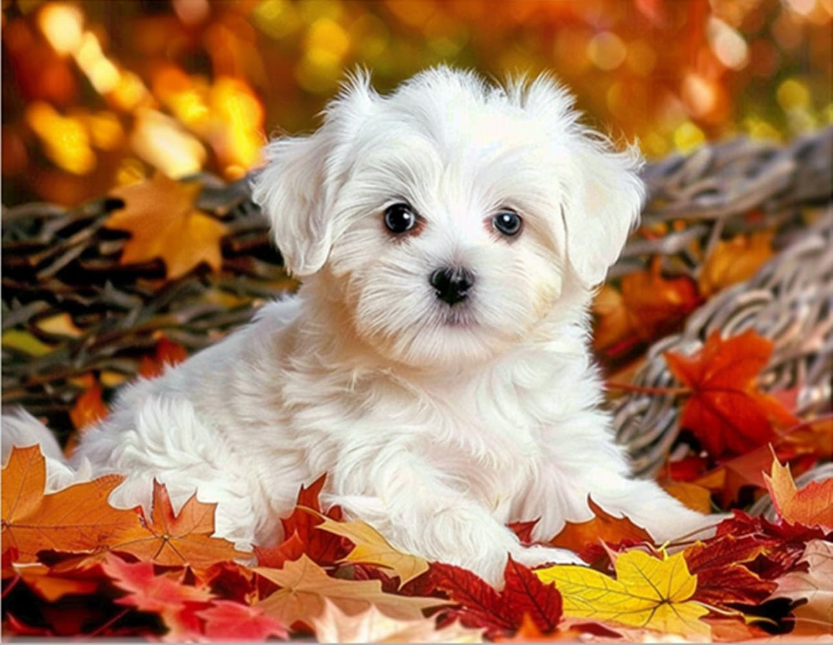 MaiYiYi Full Square Diamond Painting Kits, Cute White Dog Diamond Painting by Numbers for Adults, Crystal Maple Leaf Dog Diamond Painting Arts Crafts for Adult Beginners (11.8 x 15.7 inches) CooolPlus