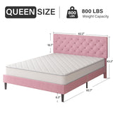 HOMBCK Queen Bed Frame with Headboard, Linen Fabric Upholstered Bed Frame Queen, Wood Slats Support, Button Tufted, No Box Spring Needed, Pink HOMBCK