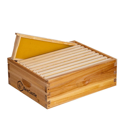 BeeCastle 10 Frame Medium Super Bee Hive Box, Langstroth Honey Bee Hive Dipped in 100% Beeswax Include Beehive Frames and Wax Foundations (Unassembled) - WoodArtSupply