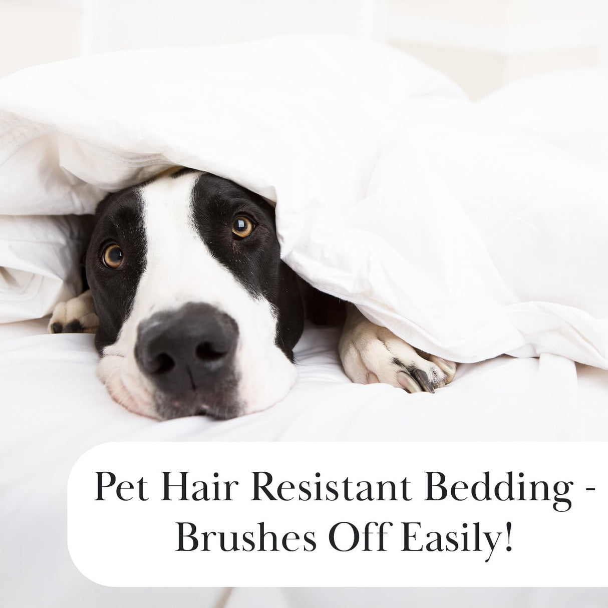 Southshore Fine Living, Inc. Farmhouse Quilts Queen Size, Quilt Bedding Set, Lightweight Coverlet Bedspread Full Size, 3-Piece Boho Quilt Set with Two Matching Pillow Shams, Full/Queen, Blue Paisley Southshore Fine Living, Inc.