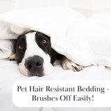 Southshore Fine Living, Inc. Farmhouse Quilts Queen Size, Quilt Bedding Set, Lightweight Coverlet Bedspread Full Size, 3-Piece Boho Quilt Set with Two Matching Pillow Shams, Full/Queen, Blue Paisley Southshore Fine Living, Inc.