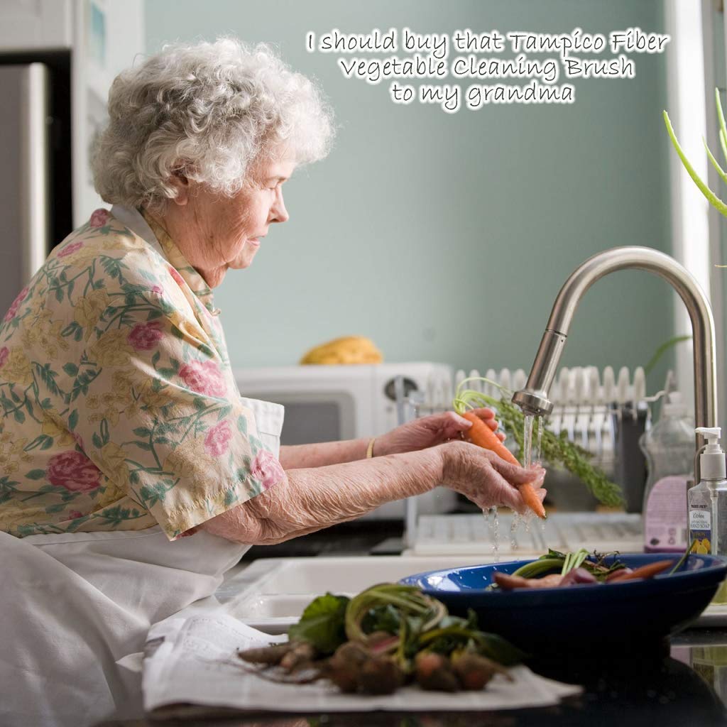 AMERWASH PLUS Dish Brush with Wooden Handle, Natural Kitchen Brush for Dishes Vegetable, Pots and Pans, Tampico Fiber Bristles Scrubber, Extra 3 Pack Replacement Head Included AMERWASH PLUS