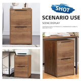 LUCYPAL Wooden File Cabinet 2 Drawer,Vertical Storage Filing Cabinet with Hanging Bars for Letter Size,File Storage Cabinet Used for Home Office, LUCYPAL