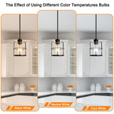 Farmhouse Pendant Lights Kitchen Island Set Of 2, Black Kitchen Island Lighting With Adjustable Rods, Industrial Cage Bathroom Pendant Lights With Clear Glass For Dining Room Hallway Sink DSMJFU DSMJFU