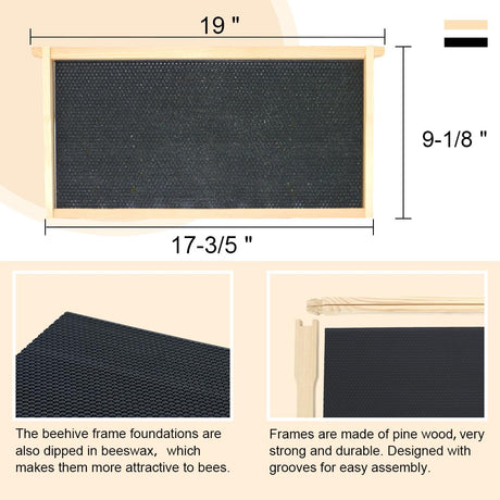 BEEINN 10 Frame Bee Hive Box, Langstroth Deep Brood Bee Box Dipped in 100% Beeswax Include Beehive Frames and Waxed Foundation Sheets (Unassembled) BEEINN