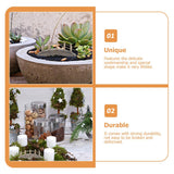 Gadpiparty Garden Bridge 2pcs Miniature Wooden Arch Bridge Model Mini Garden Ornaments Micro Landscape Decor Miniature House Decorations Gadpiparty