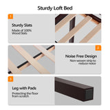 Bonnlo Espresso Twin Low Loft Bed with Inclined Stairs and High Guard Rail Bonnlo