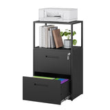 MIIIKO Office File Cabinet with 2 Drawers and Shelf, Metal Vertical Filing Cabinet with Lock, Lateral Two Drawers for Storage Letter/Legal Size File Folders, Top Shelf for Printer Stand MIIIKO