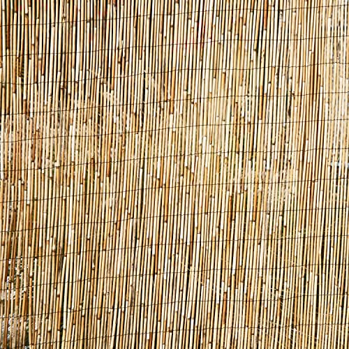 Backyard X-Scapes Jumbo Reed Bamboo Screen Privacy Fence Backyard Divider Decorative Garden Fencing Natural Finish 6 ft H x 16 ft L, (20-BR6)